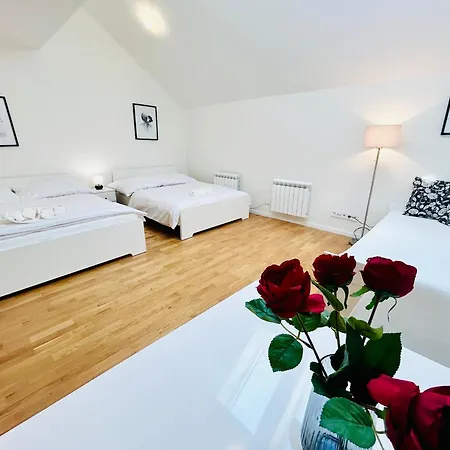 Apartment Cozy Design Right Next To Wenceslas Square *